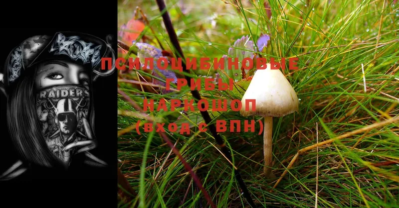 МЕГА зеркало  Крым  Псилоцибиновые грибы MAGIC MUSHROOMS 